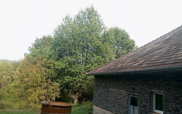 Exteriér
