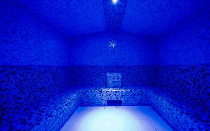 Wellness