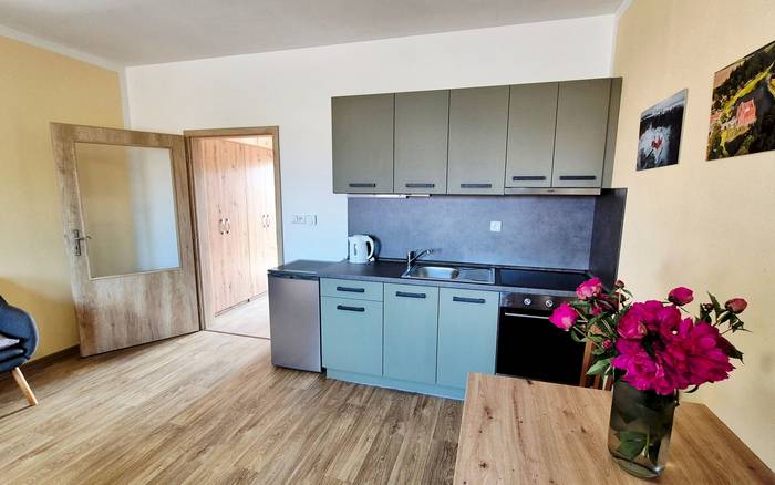 4. Apartmán s kuchyňkou, bezbariérový v přízemí