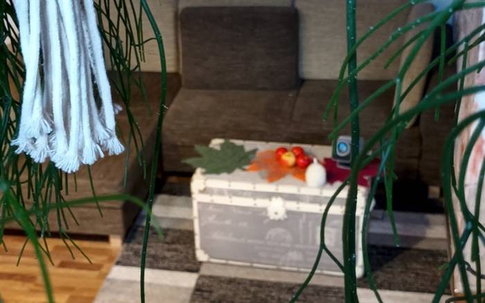 Obývacia miestnosť