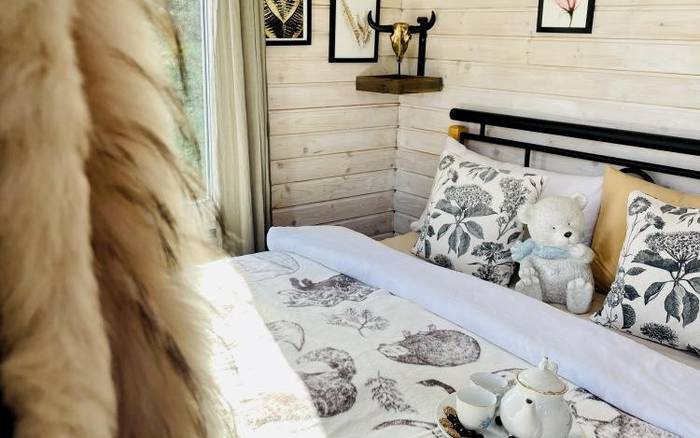 Tiny House ON THE ROCKS