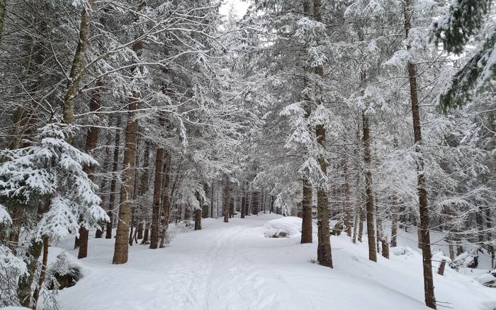 Spálená skitour