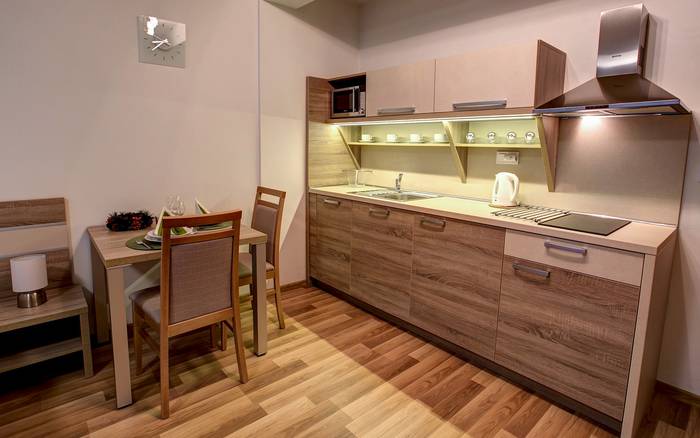 Štúdiový apartmán STANDARD s balkónom [2+1]
