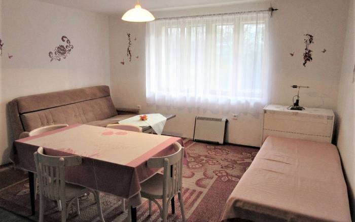 Apartmán s 1 ložnicí