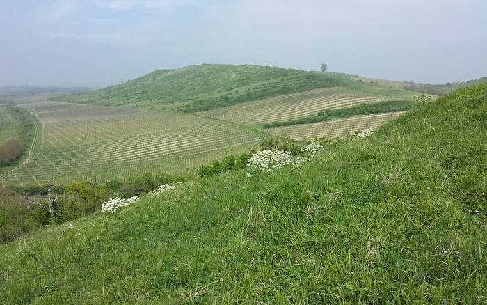 Dolní Dunajovice poklidné vinařské a rekreační centrum 