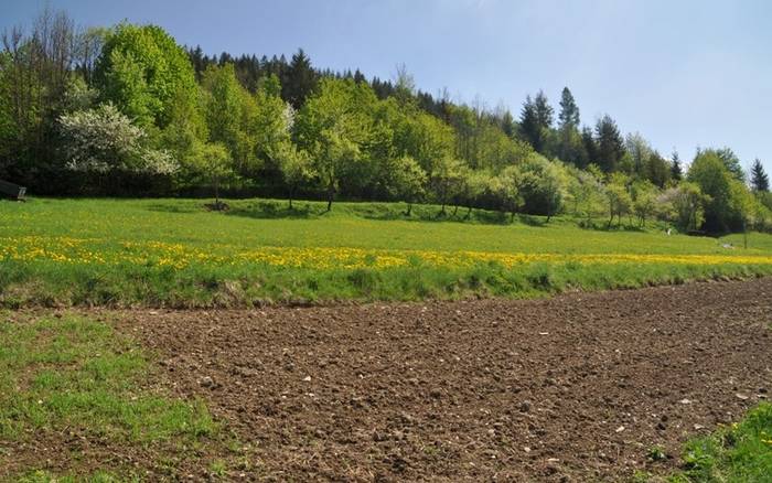 Na rozhľadni na vrchu Bobovec nad Starou Bystricou 