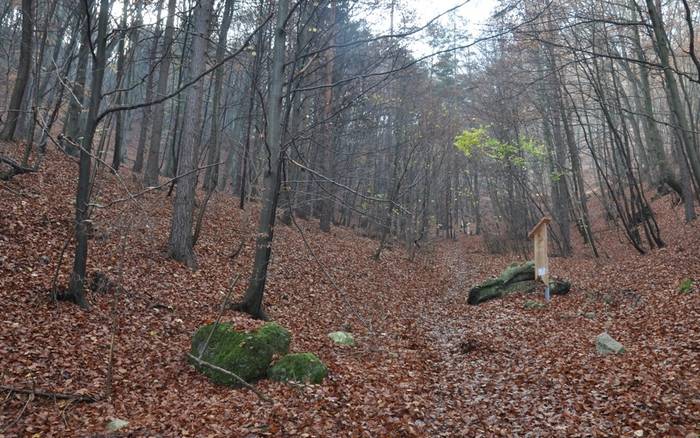 Na Hričovskom hrade