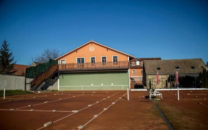 Tenis