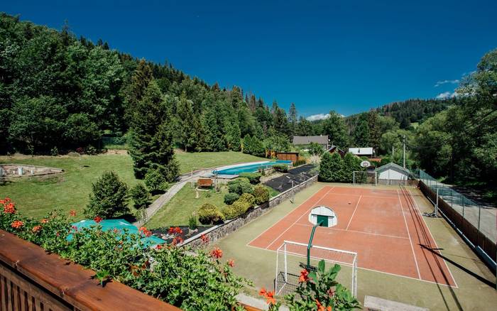 Tenis