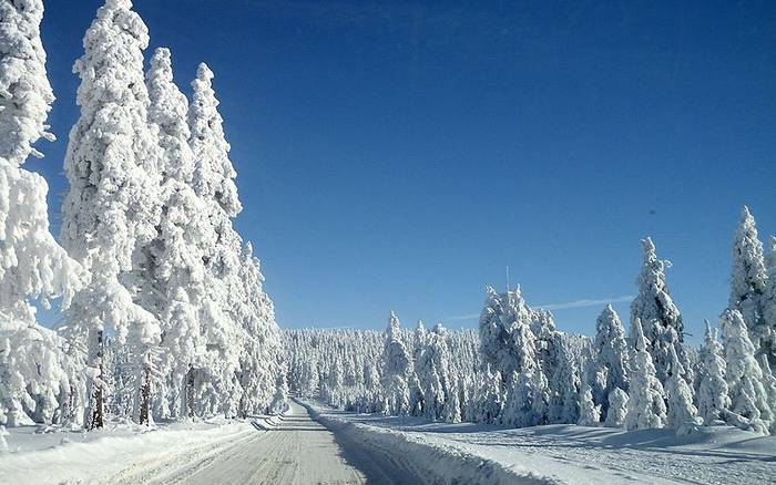 Jak se lyžuje v největším krušnohorském středisku Ski areál Klínovec? Jedním slovem skvěle.