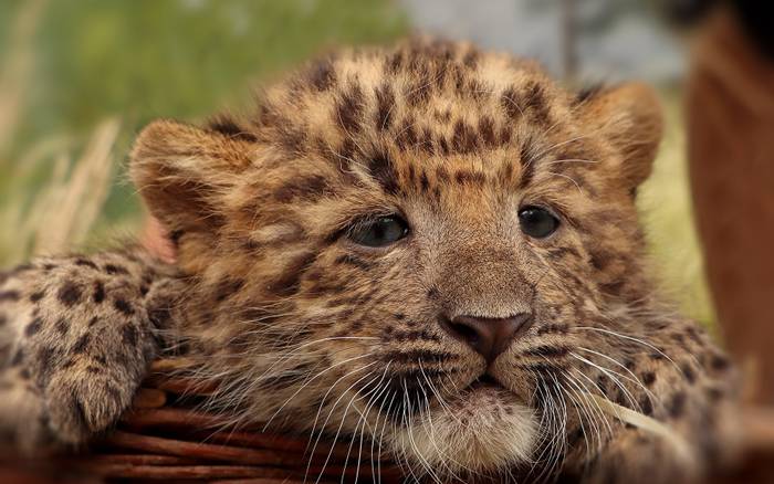 Zoo Plzeň