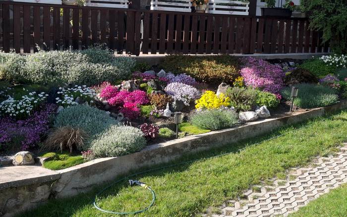 Котедж Барбора Дедінки