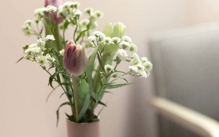 Pokoj Tulipán