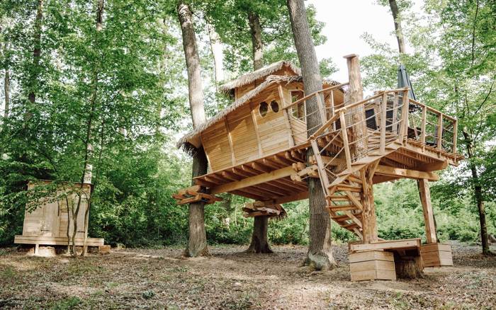 Treehouse IV