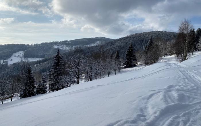Wellness chata Labská