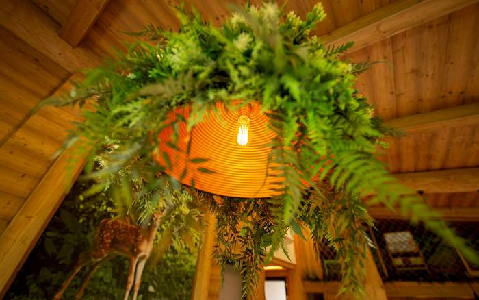 Chalet Bambi