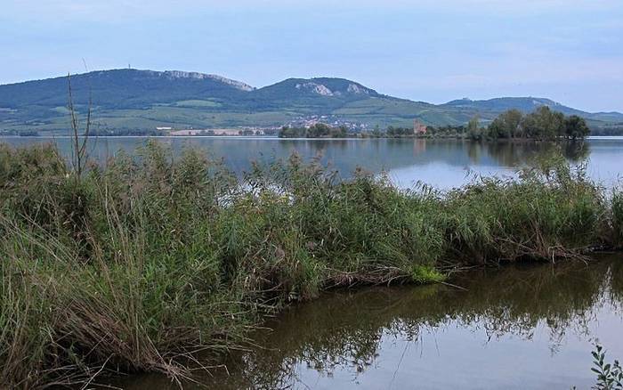 Proč lidé tolik milují Pasohlávky? 