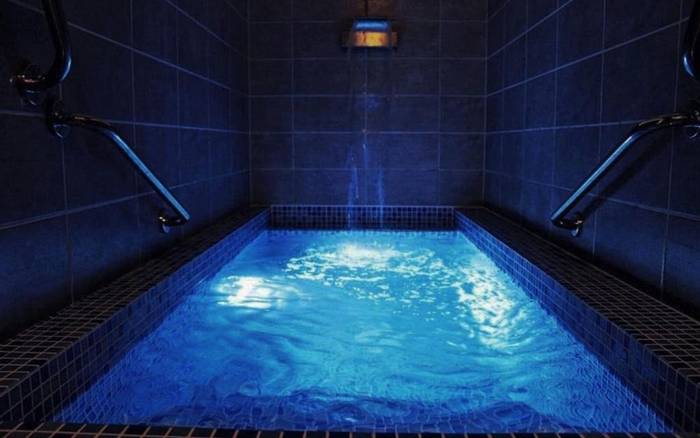 Wellness