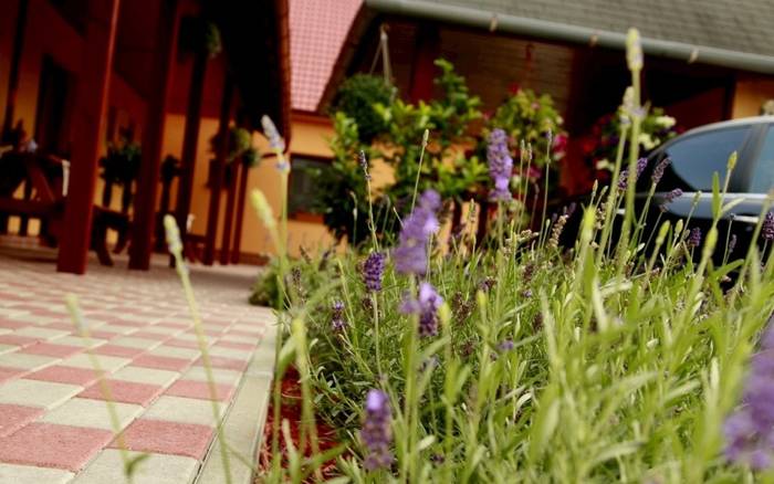 Apartmány Levanduľa