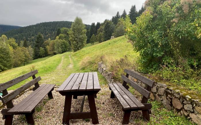 Wellness chata Labská