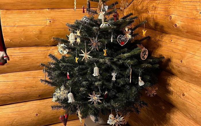 Vianočný stromček