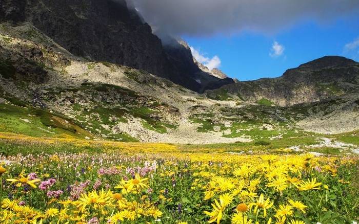 Velické pleso a výstup na Východnú Vysokú