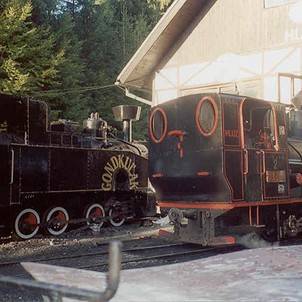 Historyczna Logging Railway pokosu