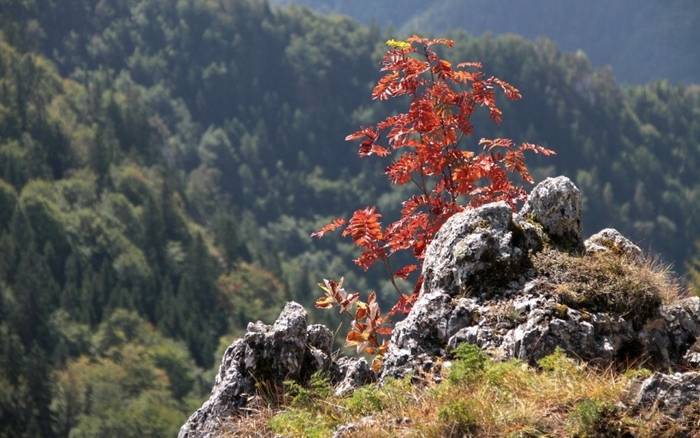 Veľká Fatra