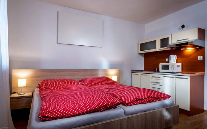 Apartmán Standard 1 | budova B