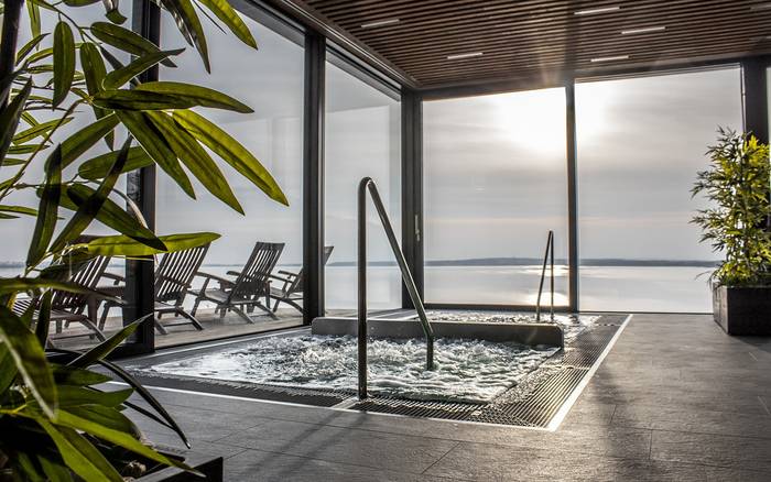 Wellness