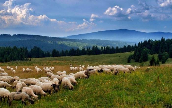 Пряникова хатинка в Подполянні з розкішним велнесом
