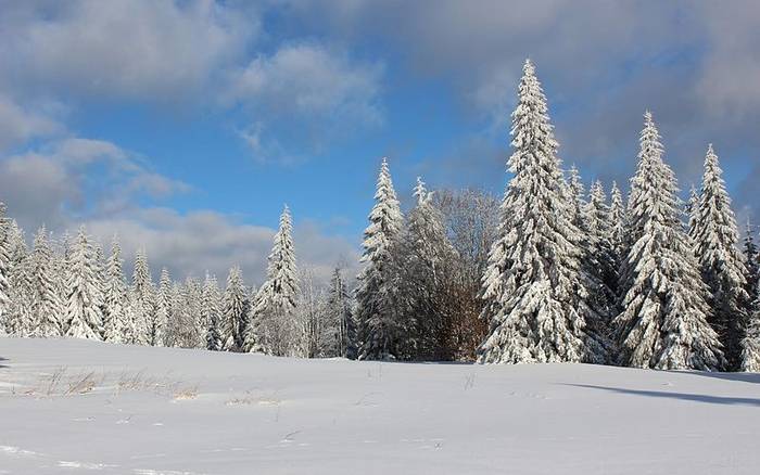 Lipno nad Vltavou, destinace, kde se nebudete nudit