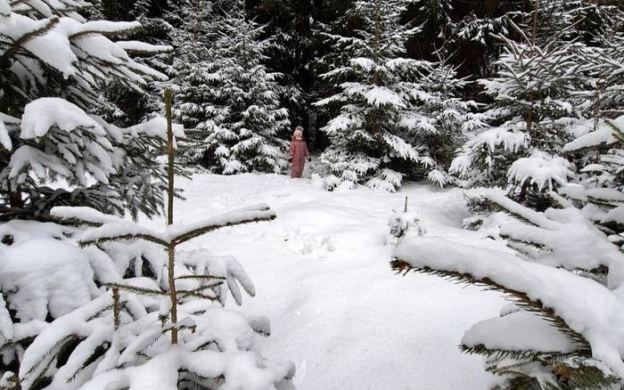 Chata pri Horárni Liptovské Kľačany