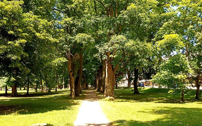 Park
