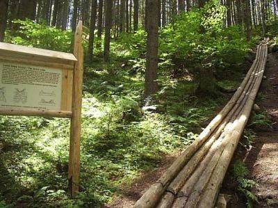 Zabytki techniczne Forestry Museum Vydrovo