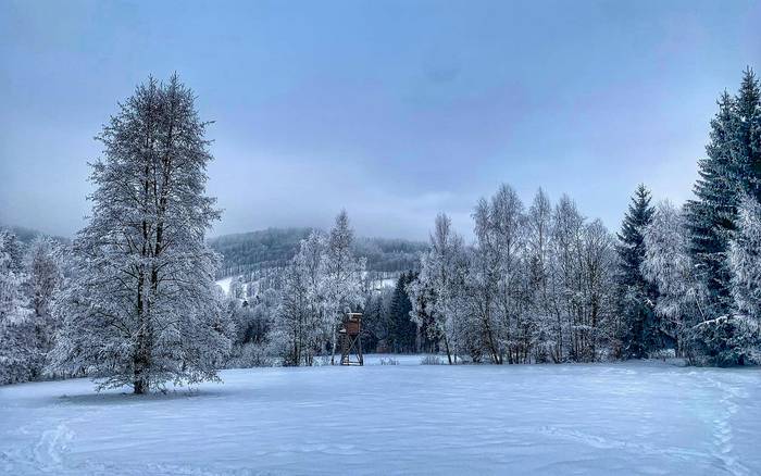 zima v Hraběšicích 