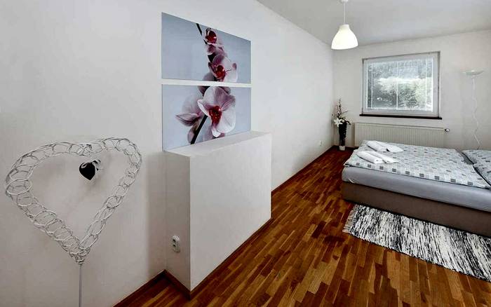 Apartmán 100