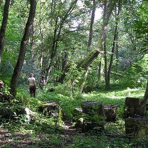 Nature trail Drienčanský Karst