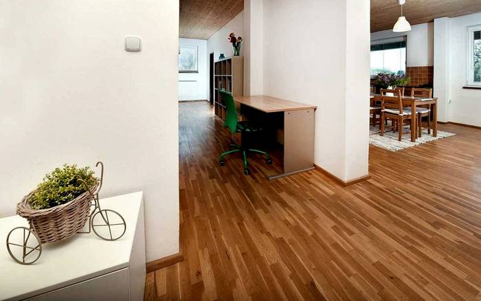 Apartmán 100