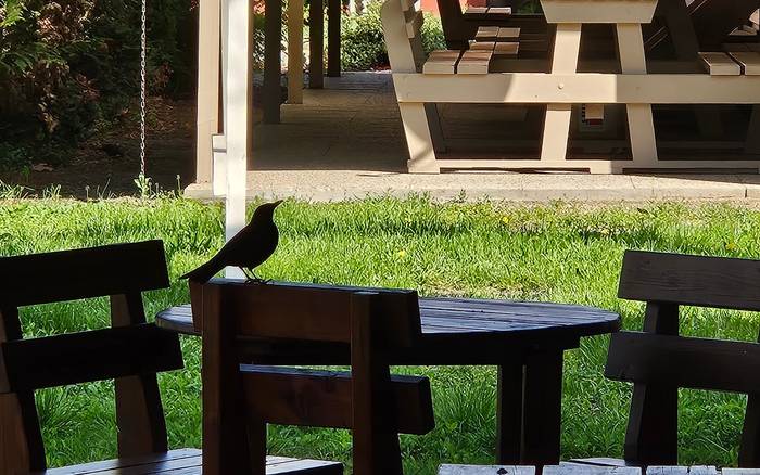 Okolie Henrieta a Henrieta 2