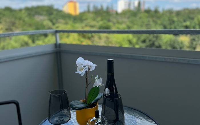 1 balkon výhled z ložnice