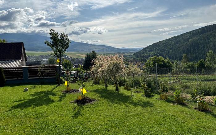 Záhrada