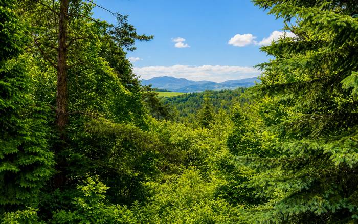 Хатина біля гори Белуша