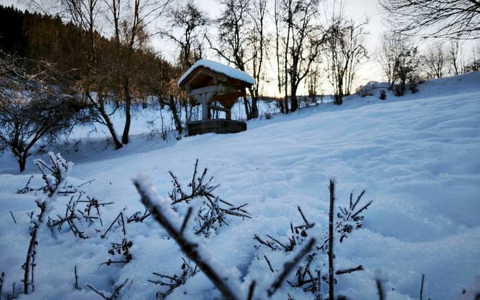 Дерев'яна хата у лікарки