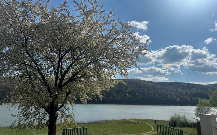Будиночок біля води