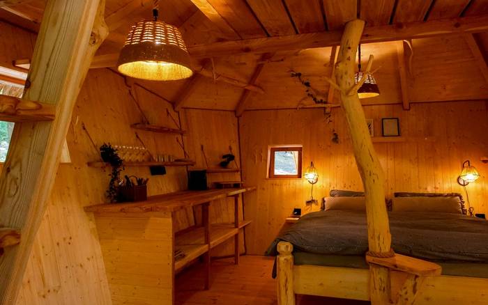 Treehouse VII