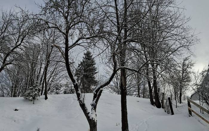 exteriér zima