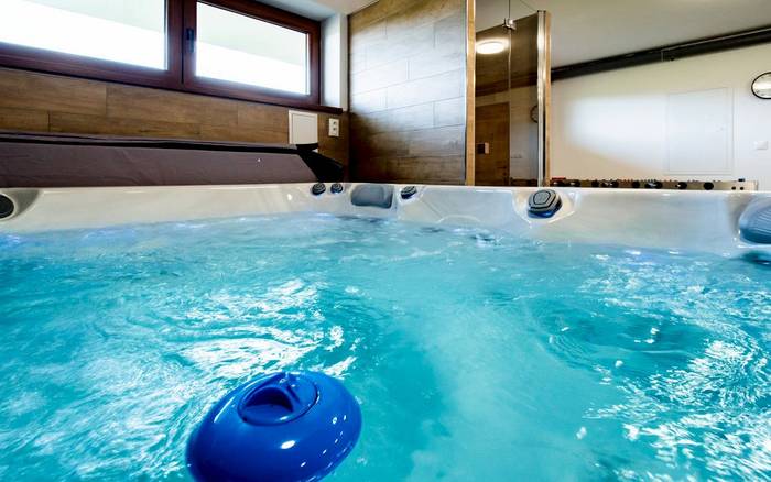 Wellness