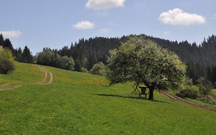 Na rozhľadni na vrchu Bobovec nad Starou Bystricou 