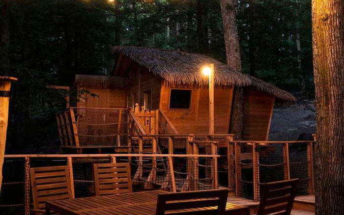 Treehouse VII